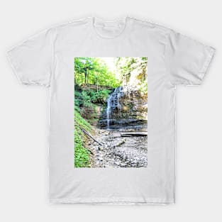 Tiffany Falls Hamilton T-Shirt